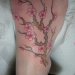Tattoo 7
